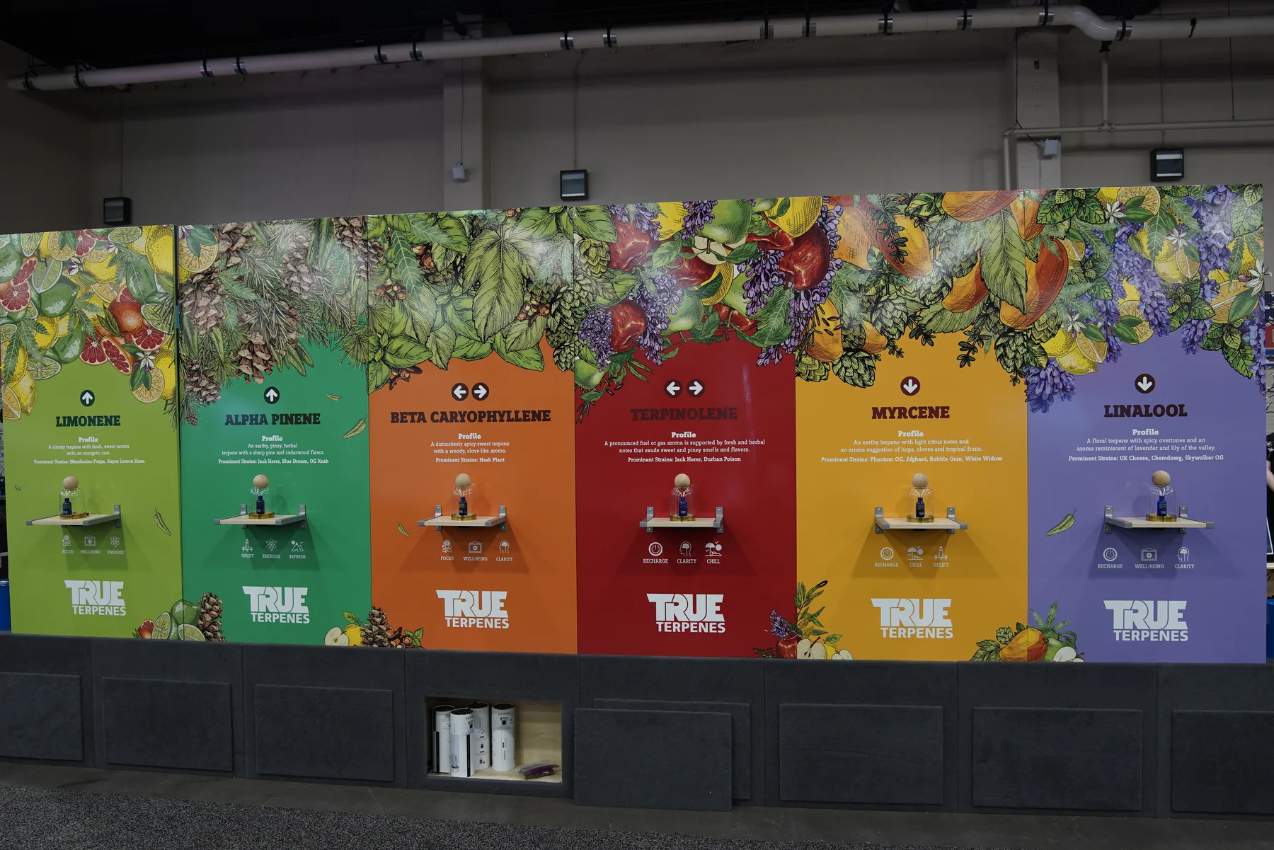 Large branded exhibitor presentation on the CannaCon show floor.