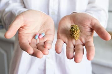 medicinal cannabis users