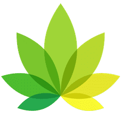 IndicaOnline | cannabis businesses and services