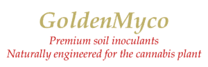 GoldenMyco Logo