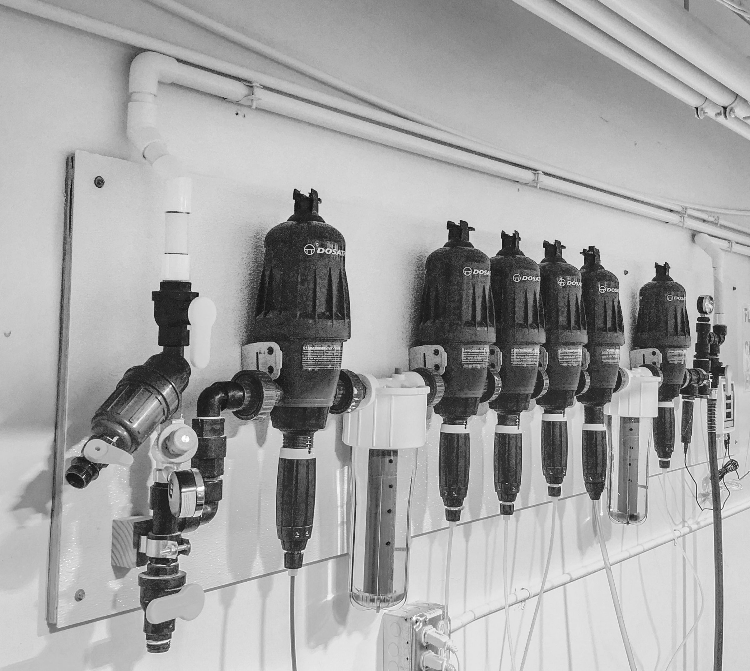 automating cannabis