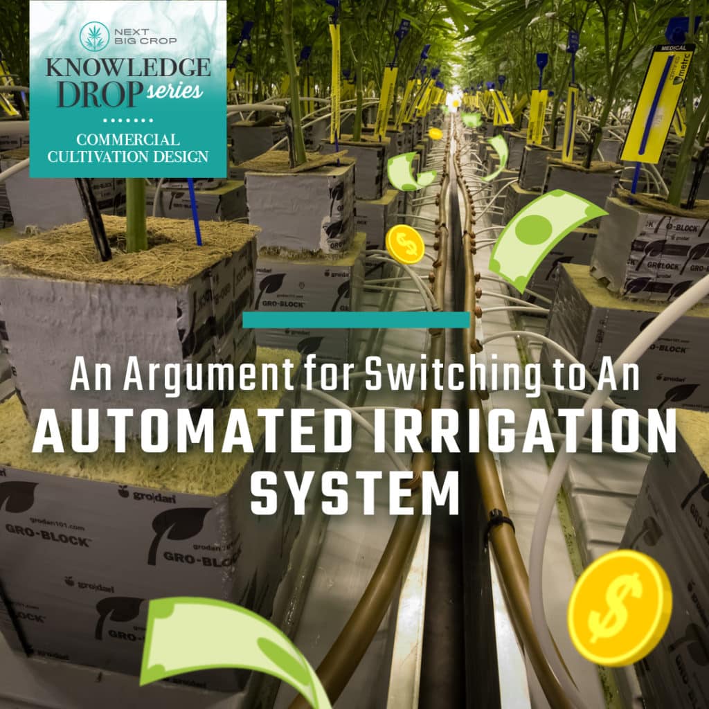 automated irrigation system