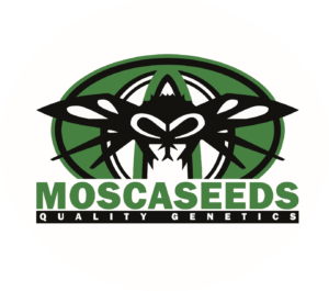 Mosca-logo-clr-round Mosca Seeds | cannabis conference