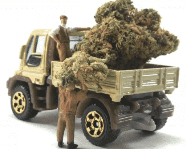 cannabis truck
