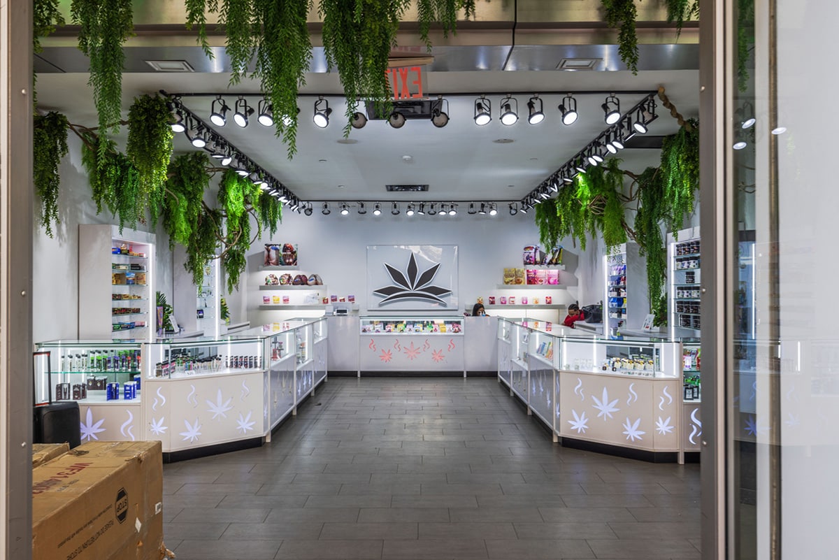 Modern cannabis dispensary to represent a blog about banking for cannabis companies and the potential passage of the SAFE Banking Act.