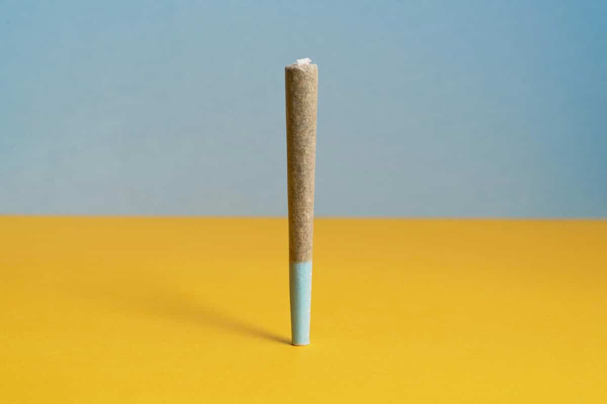 cannabis preroll standing upright on a yellow surface