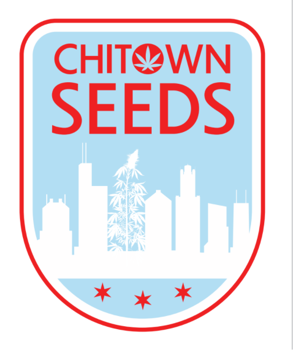 chitown seeds
