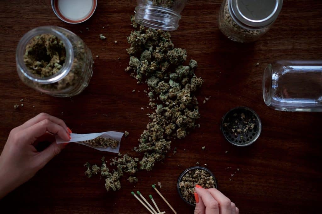 daily cannabis use | terpene profile and effects