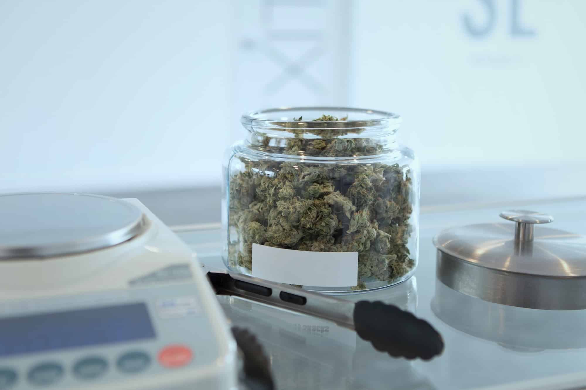 experiential cannabis marketing | dispensary design