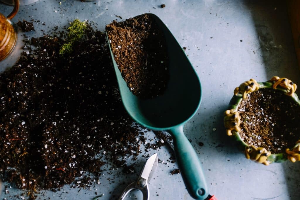 essential nutrients for cannabis growth