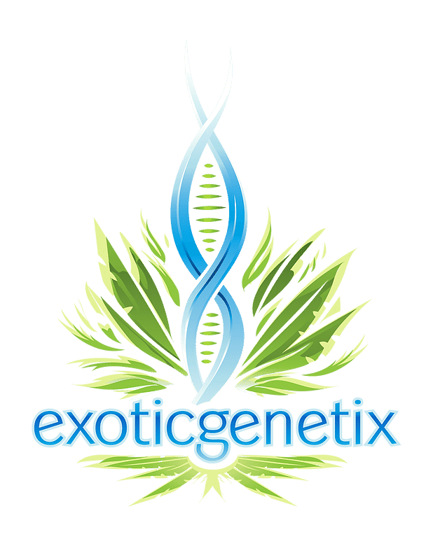 exotic genetix | cannabis business licensing in maine