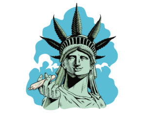 federal cannabis legalization bill | federal bill to legalize weed | Cannabis Administration & Opportunity Act, cannabis reform