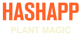 hashapp-weblogo280x80-orange-plant-magic-1