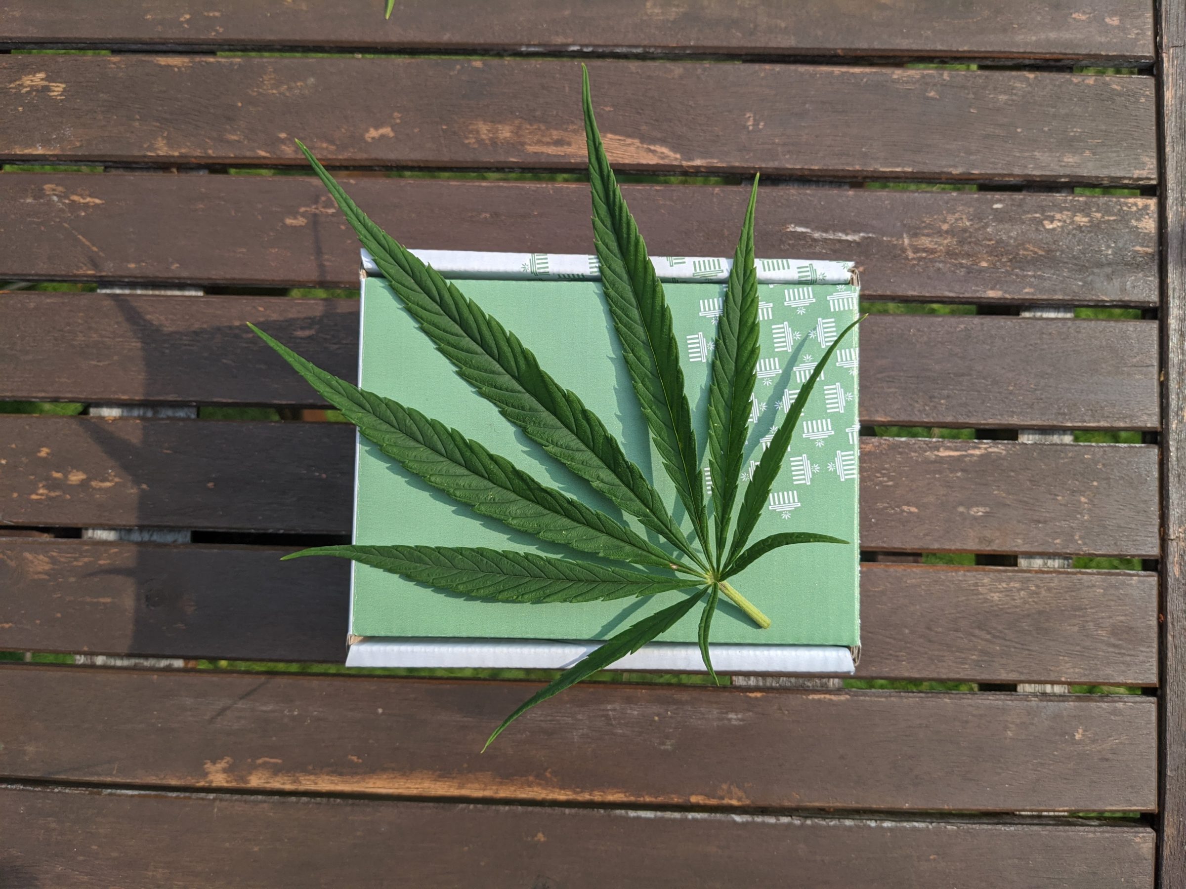 state requirements and regulations for cannabis packaging