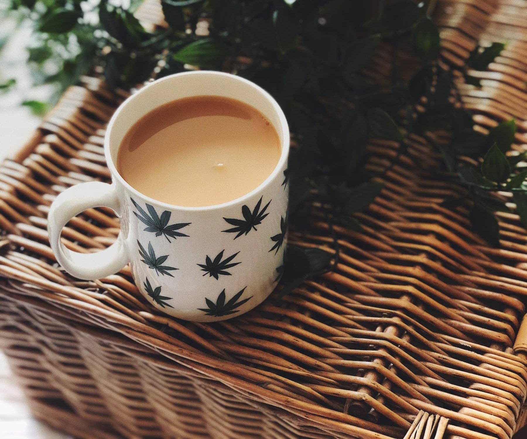 cannabis beverages