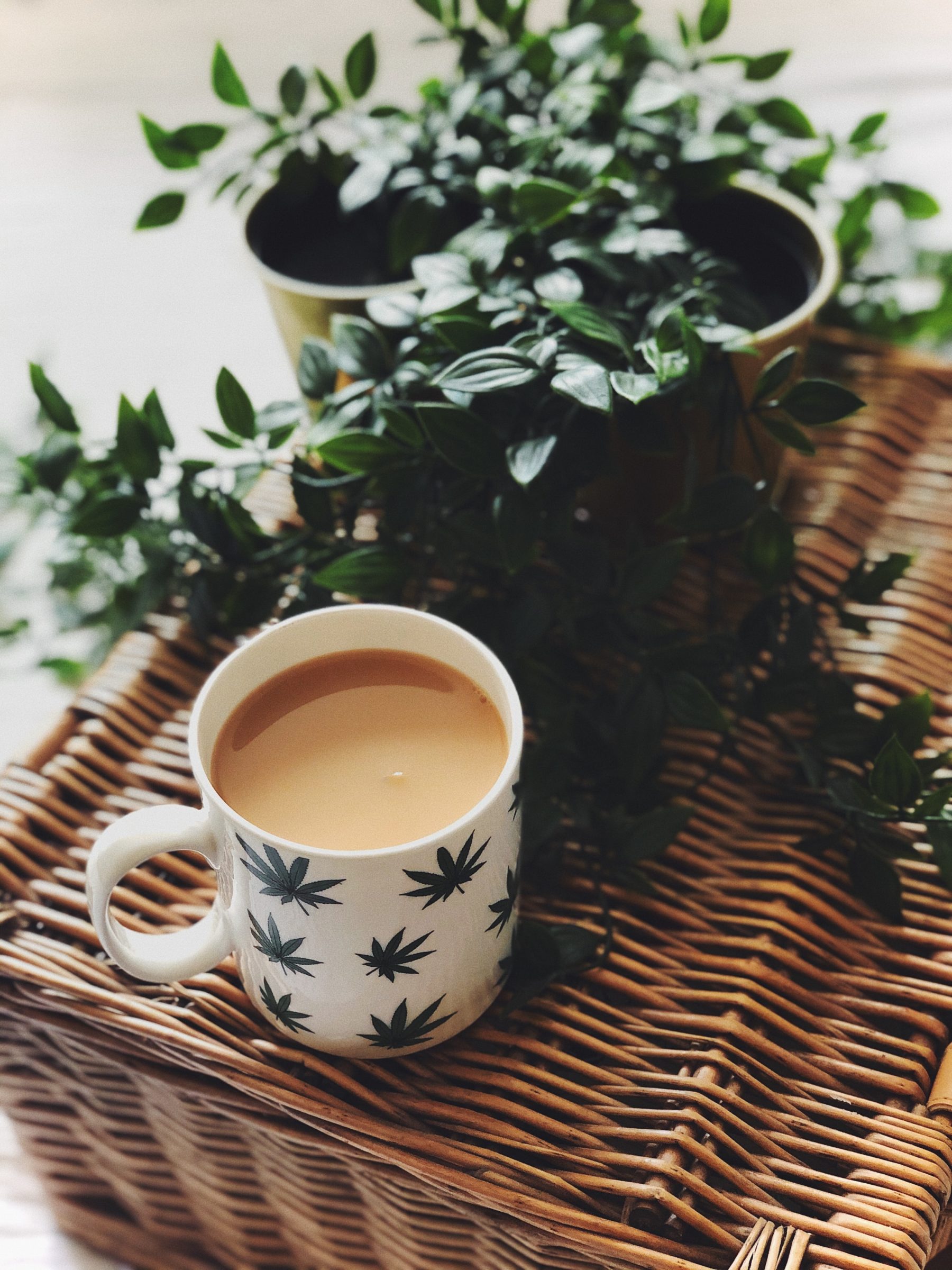 cannabis beverages