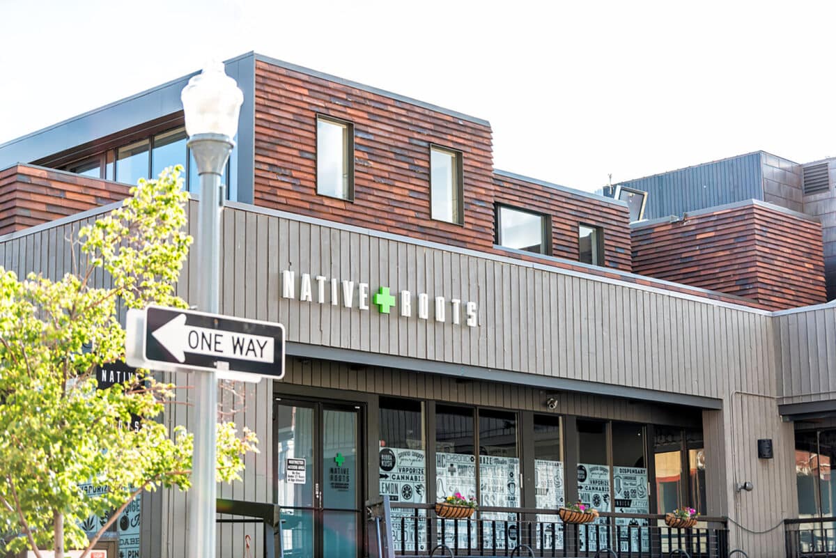 Person standing inside a modern cannabis dispensary, showcasing sleek display counters and labeled product jars — representing the journey of opening a dispensary.