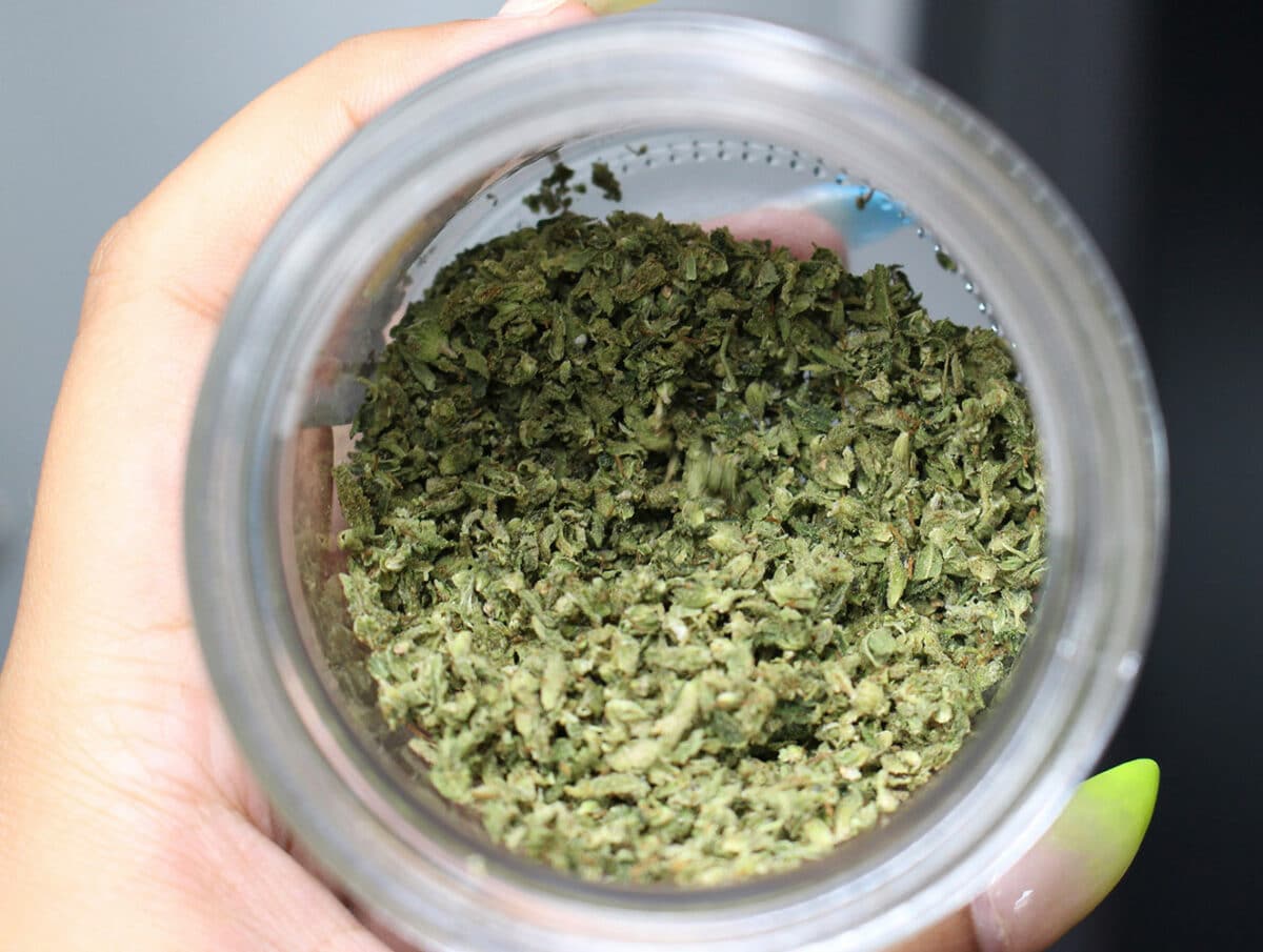 Looking into a glass jar filled with marijuana shake — small pieces of ground-up cannabis often referred to as shake weed.