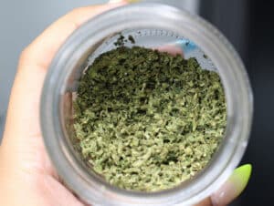 Looking into a glass jar filled with marijuana shake — small pieces of ground-up cannabis often referred to as shake weed.