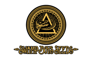 amp boy | cannabis events in midwest us