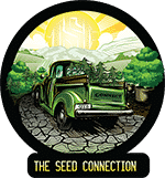 the seed connection
