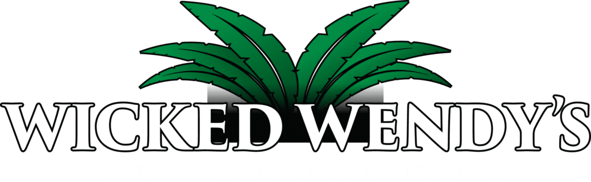 wicked wendy's | marijuana products